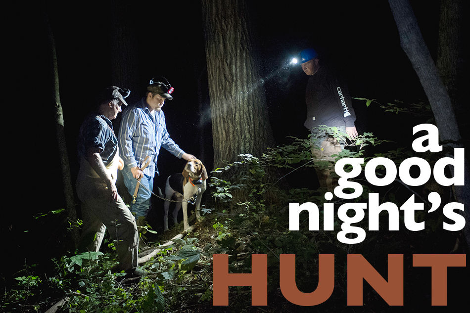 A Good Night's Hunt: Raccoon Hunting in Missouri